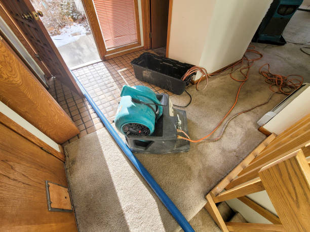 Best Flood restoration services  in USA